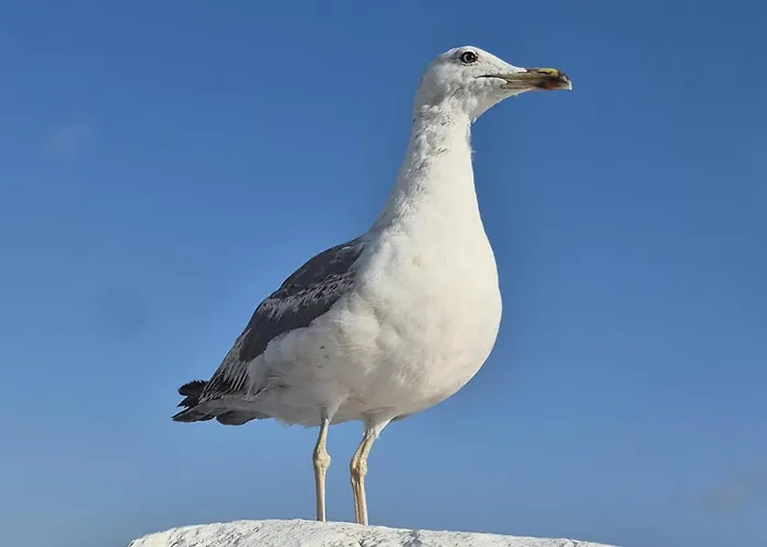 Casa Secreta Prázdninový dům *