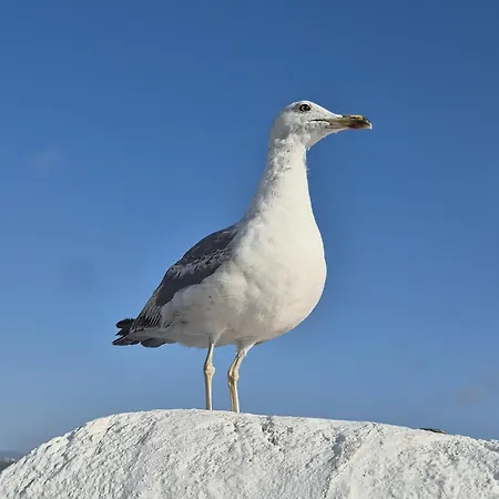Casa Secreta Casa vacanze *
